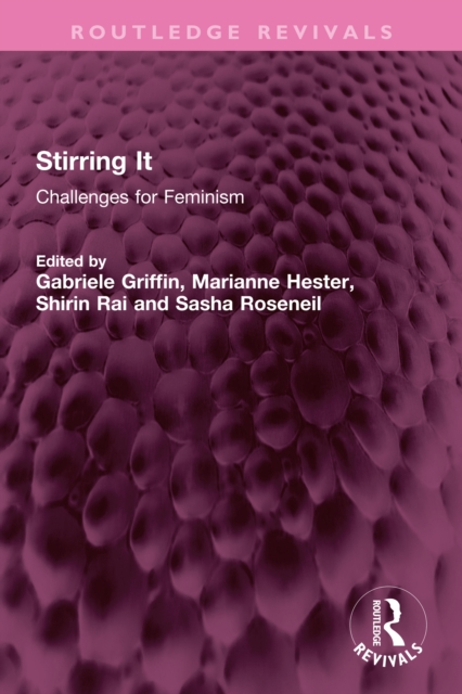 Stirring It : Challenges for Feminism, PDF eBook