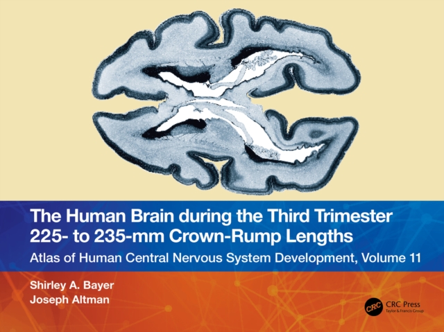 The Human Brain during the Third Trimester 225- to 235-mm Crown-Rump Lengths : Atlas of Central Nervous System Development, Volume 11, PDF eBook