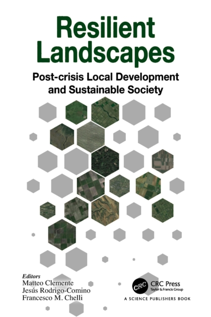 Resilient Landscapes : Post-crisis Local Development and Sustainable Society, EPUB eBook