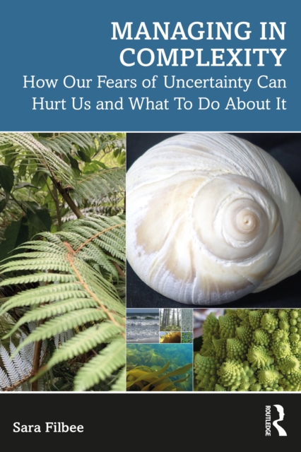 Managing in Complexity : How Our Fears of Uncertainty Can Hurt Us and What To Do About It, PDF eBook