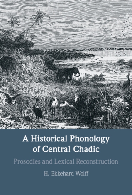 Historical Phonology of Central Chadic : Prosodies and Lexical Reconstruction, EPUB eBook