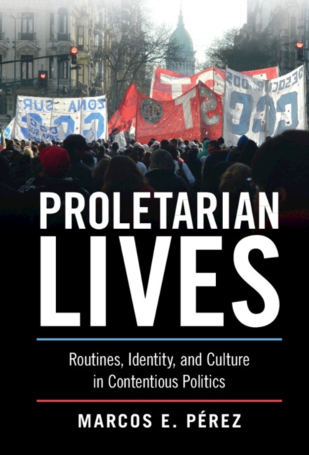 Proletarian Lives : Routines, Identity, and Culture in Contentious Politics, PDF eBook