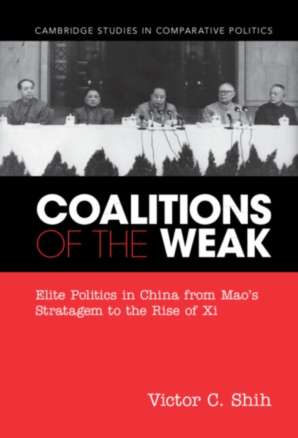 Coalitions of the Weak, PDF eBook
