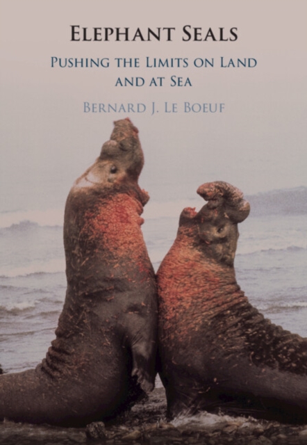 Elephant Seals : Pushing the Limits on Land and at Sea, PDF eBook