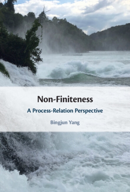 Non-Finiteness : A Process-Relation Perspective, EPUB eBook