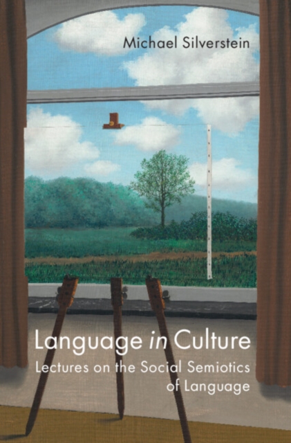 Language in Culture : Lectures on the Social Semiotics of Language, Paperback / softback Book