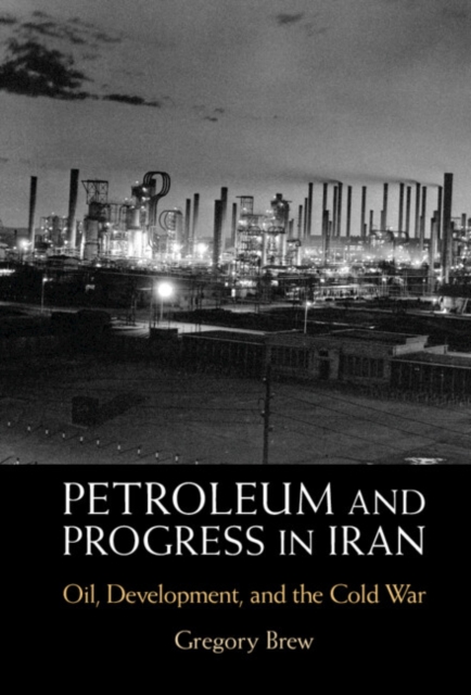 Petroleum and Progress in Iran : Oil, Development, and the Cold War, PDF eBook