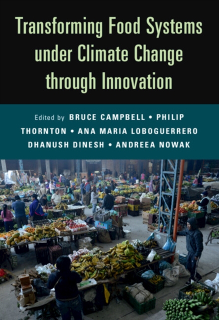 Transforming Food Systems Under Climate Change through Innovation, EPUB eBook
