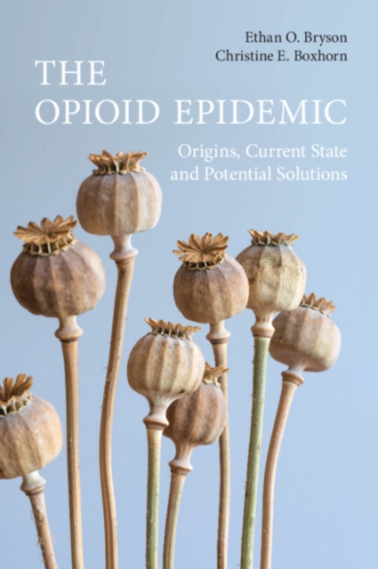 Opioid Epidemic : Origins, Current State and Potential Solutions, PDF eBook
