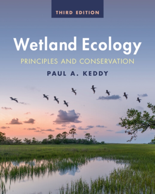 Wetland Ecology : Principles and Conservation, Paperback / softback Book