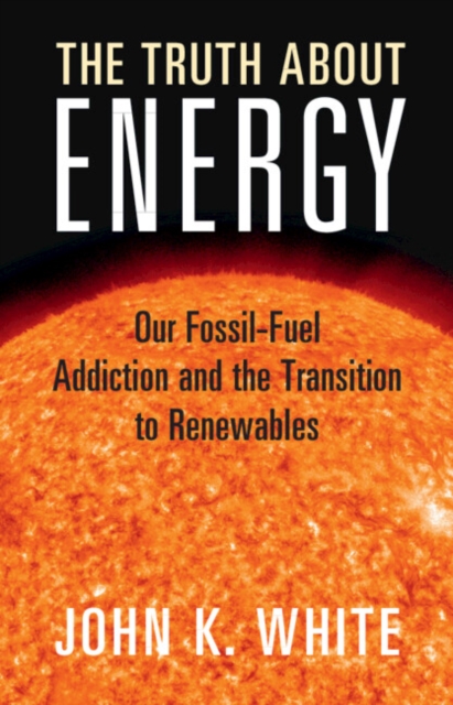 Truth About Energy : Our Fossil-Fuel Addiction and the Transition to Renewables, EPUB eBook
