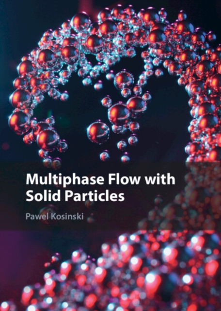 Multiphase Flow with Solid Particles, PDF eBook