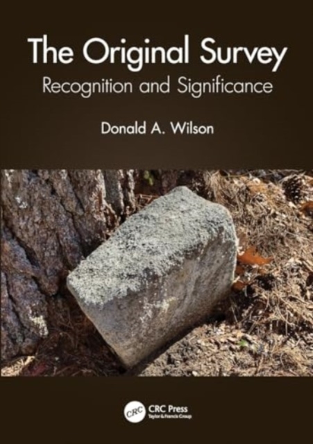 The Original Survey : Recognition and Significance, Paperback / softback Book
