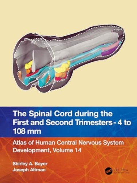 The Spinal Cord during the First and Second Trimesters - 4 to 108 mm : Atlas of Central Nervous System Development, Volume 14, Paperback / softback Book
