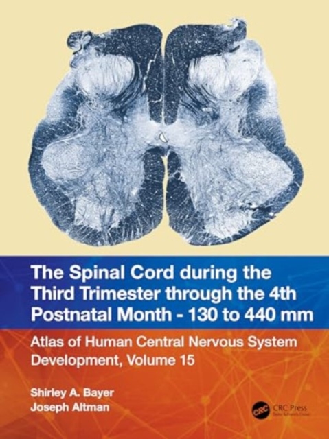 The Spinal Cord during the Third Trimester through the 4th Postnatal Month - 130 to 440 mm : Atlas of Central Nervous System Development, Volume 15, Paperback / softback Book
