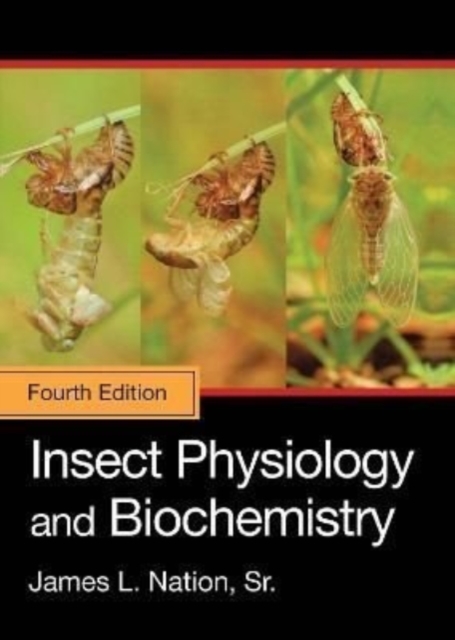 Insect Physiology and Biochemistry, Paperback / softback Book