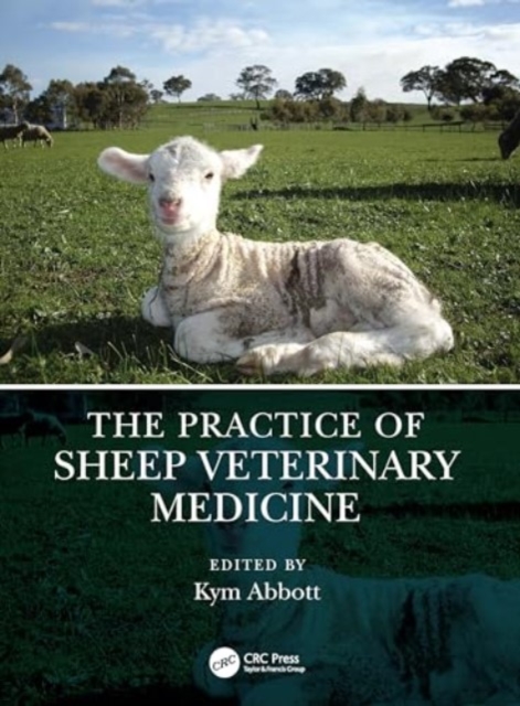 Sheep Veterinary Practice, Paperback / softback Book