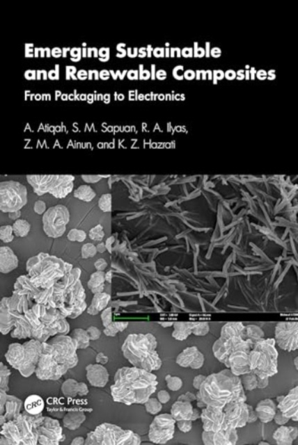 Emerging Sustainable and Renewable Composites : From Packaging to Electronics, Paperback / softback Book