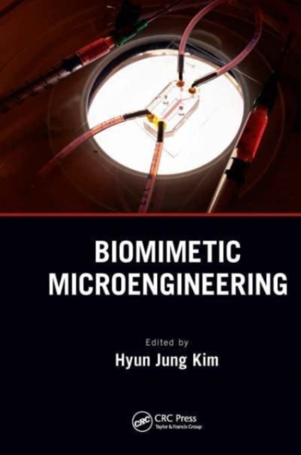 Biomimetic Microengineering, Paperback / softback Book