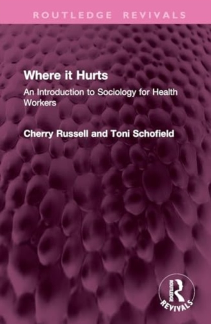 Where it Hurts : An Introduction to Sociology for Health Workers, Hardback Book