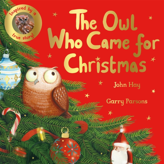The Owl Who Came for Christmas, EPUB eBook