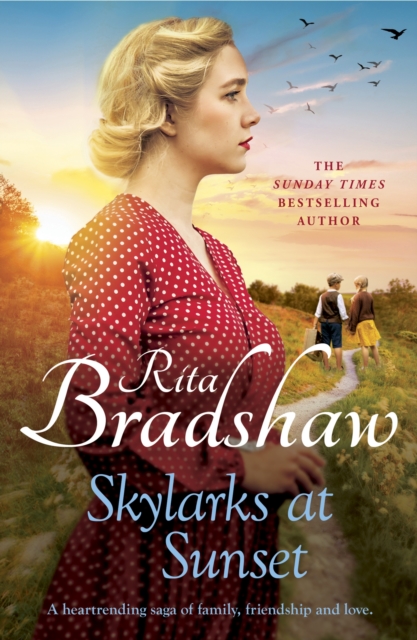 Skylarks At Sunset : An unforgettable saga of love, family and hope, Paperback / softback Book