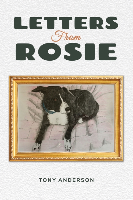 Letters from Rosie, Paperback / softback Book