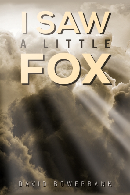 I Saw a Little Fox, Paperback / softback Book