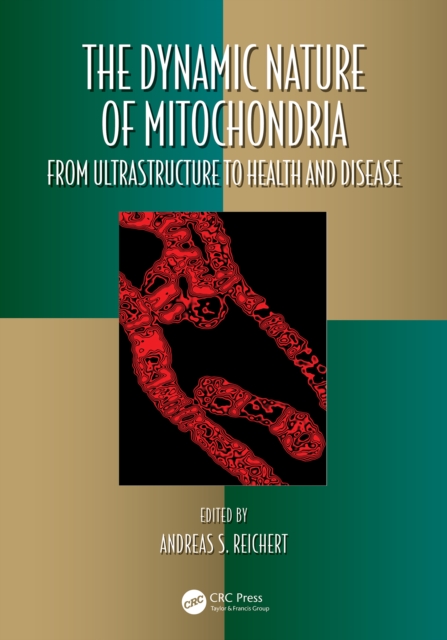 The Dynamic Nature of Mitochondria : from Ultrastructure to Health and Disease, PDF eBook