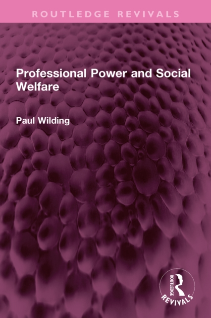 Professional Power and Social Welfare, PDF eBook