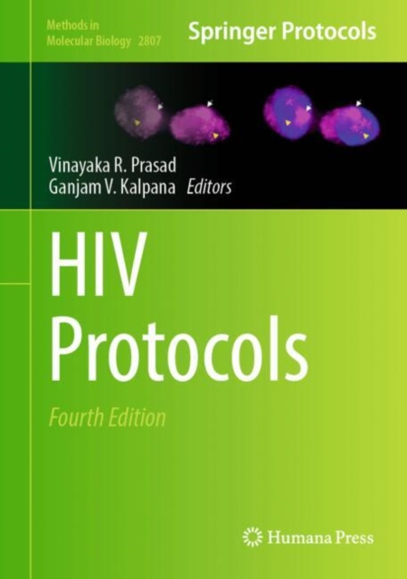 HIV Protocols, EPUB eBook