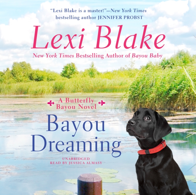 Bayou Dreaming, eAudiobook MP3 eaudioBook