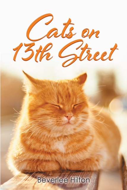Cats on 13th Street, EPUB eBook