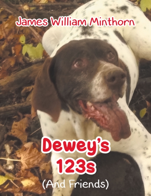 Dewey's 123s : (And Friends), EPUB eBook