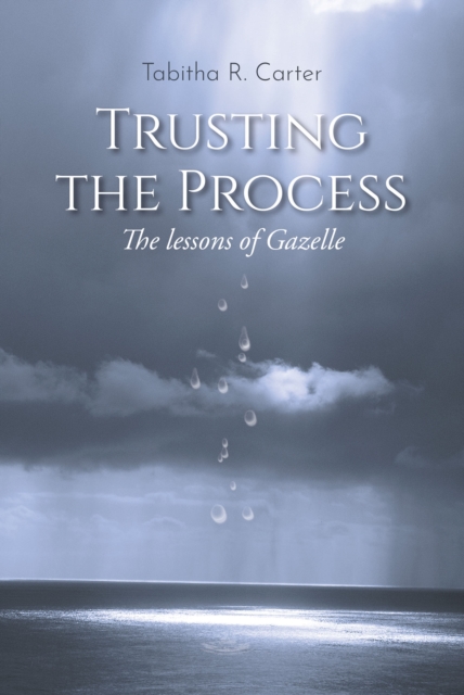 Trusting the Process : The Lessons of Gazelle, EPUB eBook