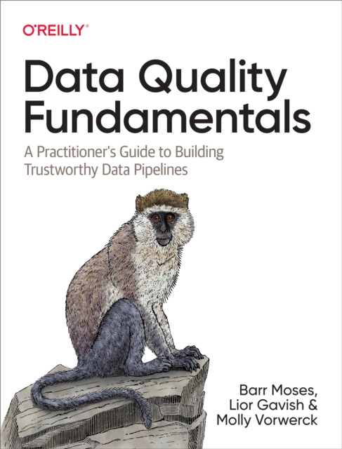 Data Quality Fundamentals, EPUB eBook