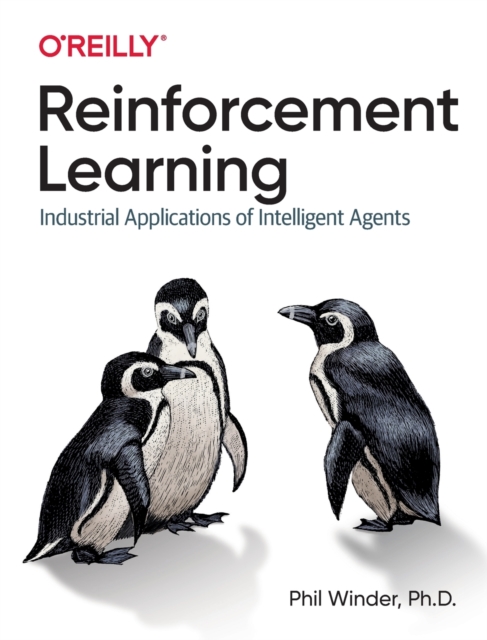 Reinforcement Learning : Industrial Applications of Intelligent Agents, Paperback / softback Book