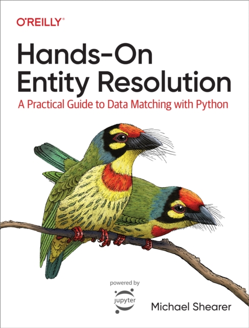 Hands-On Entity Resolution, PDF eBook