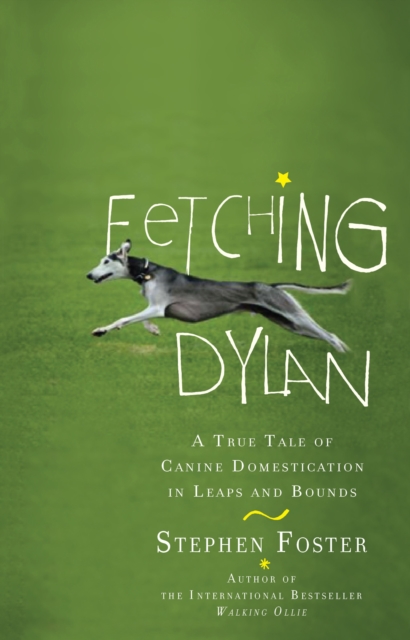 Fetching Dylan, EPUB eBook