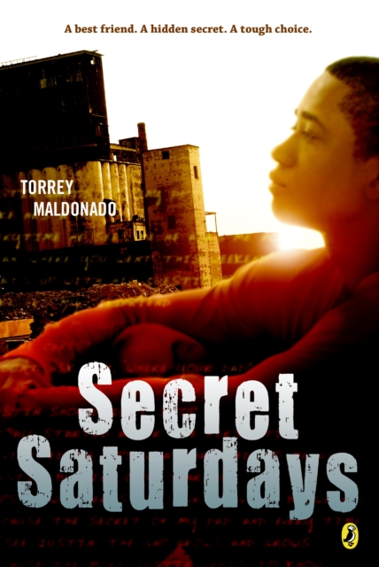 Secret Saturdays, EPUB eBook