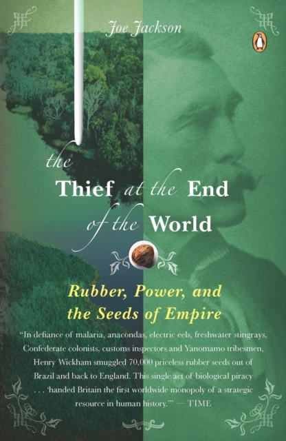 Thief at the End of the World, EPUB eBook