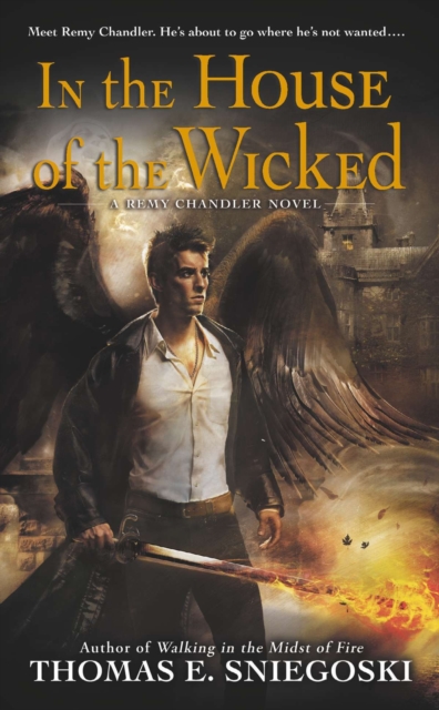 In the House of the Wicked, EPUB eBook