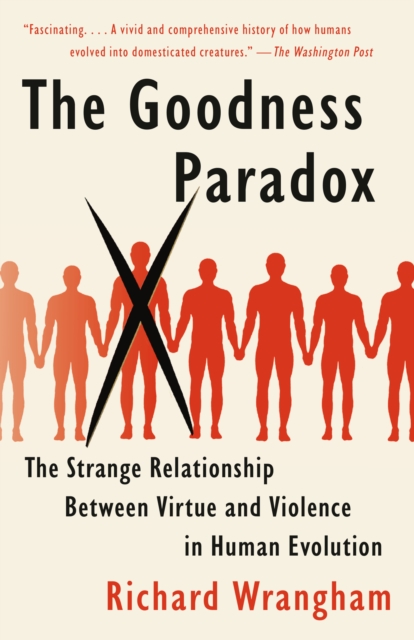 Goodness Paradox, EPUB eBook