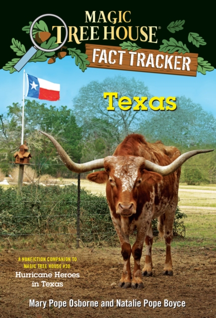Texas, EPUB eBook