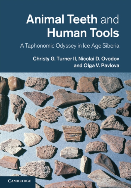 Animal Teeth and Human Tools : A Taphonomic Odyssey in Ice Age Siberia, PDF eBook