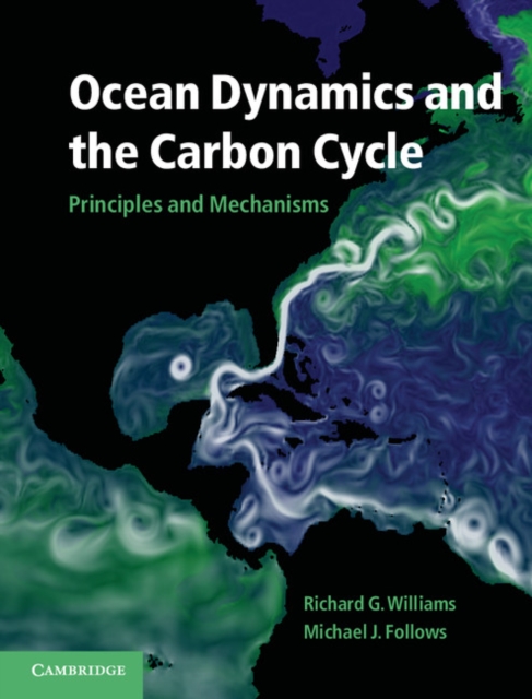 Ocean Dynamics and the Carbon Cycle : Principles and Mechanisms, EPUB eBook