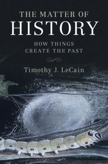 The Matter of History : How Things Create the Past, Hardback Book