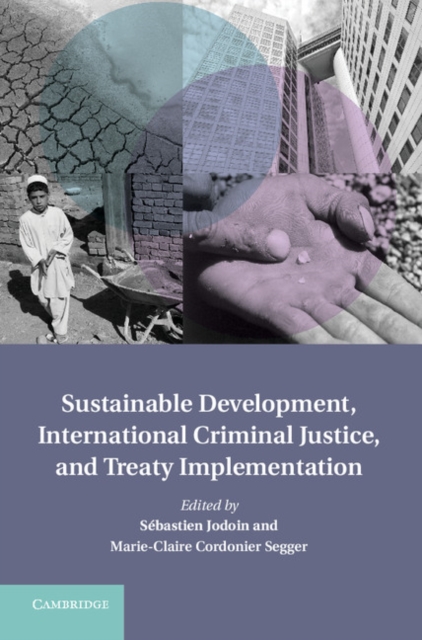 Sustainable Development, International Criminal Justice, and Treaty Implementation, EPUB eBook