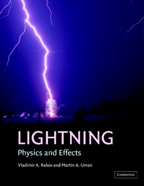 Lightning : Physics and Effects, PDF eBook