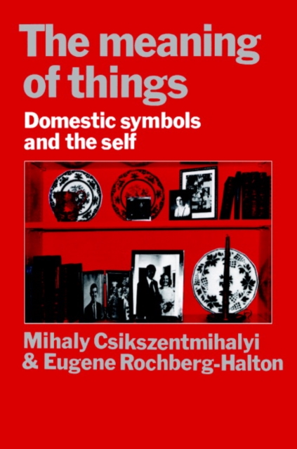 Meaning of Things : Domestic Symbols and the Self, PDF eBook